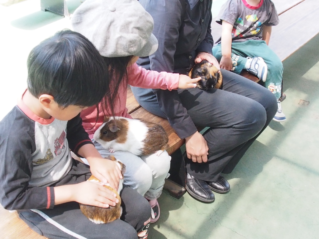 市川市動植物園