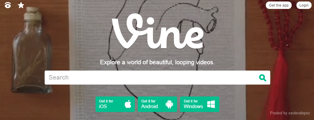 vine