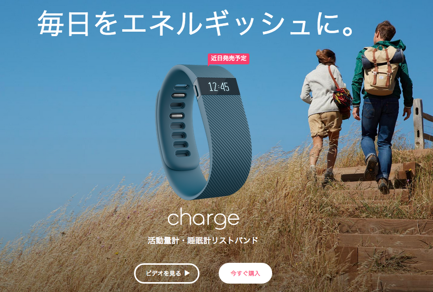 Fitbit_Charge™_ワイヤレス活動量計・睡眠計リストバンド