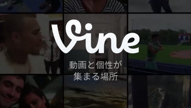 Vine