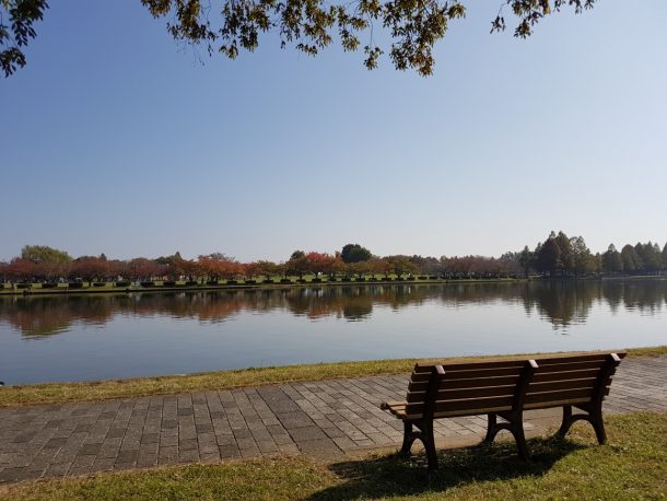 水元公園