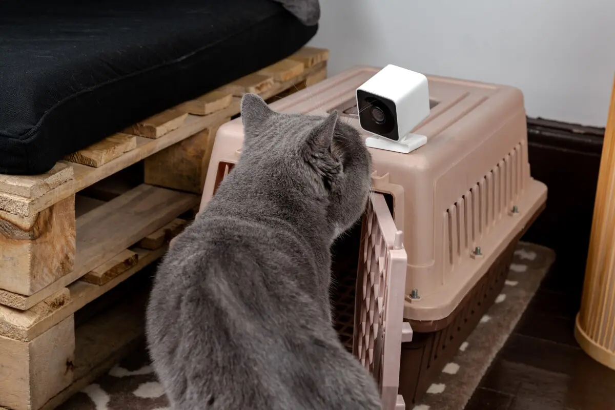 IP67の防水仕様となったスマートホームカメラATOM Cam 2、5月18