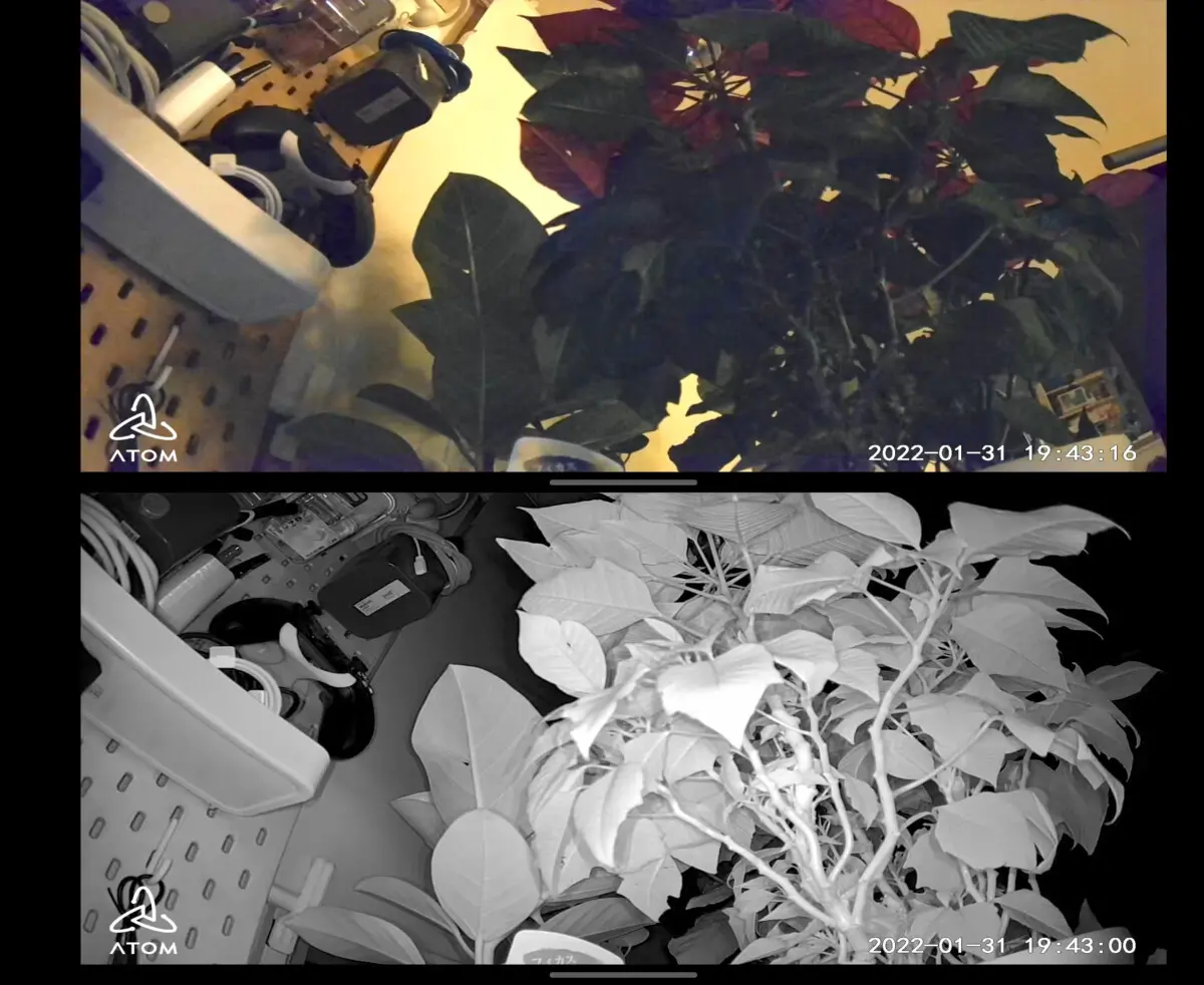 カメラの回転が可能。自動追尾にも対応したATOM Cam Swing